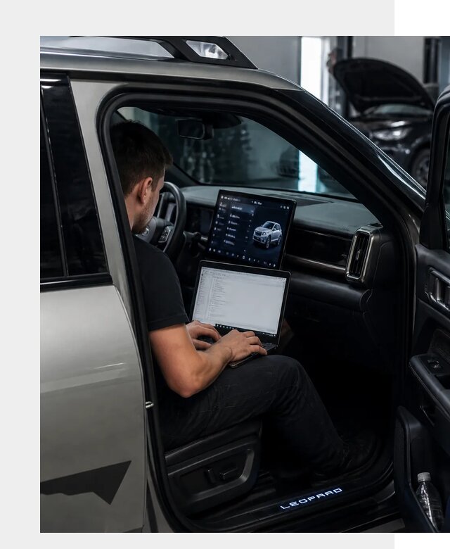 Русификация BYD Leopard 3 в Вольске по цене от 20153 р. | ФастМобиль-Вль